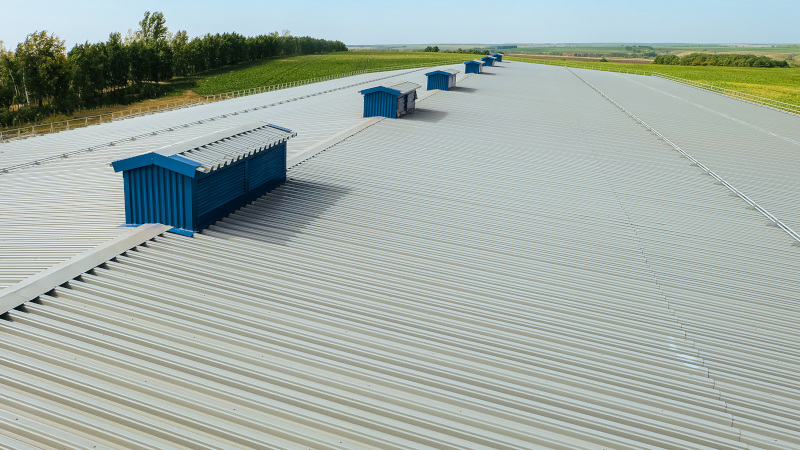 Tin Roofing in Greensboro, North Carolina